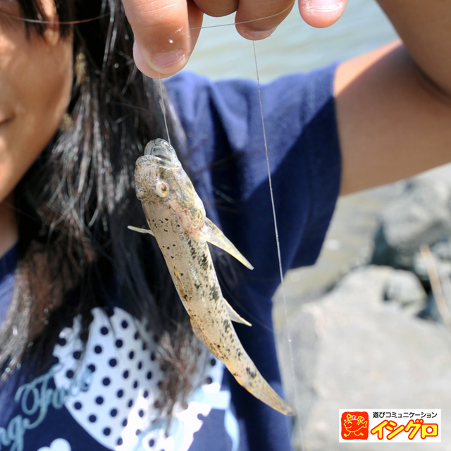 ハゼ手竿釣り